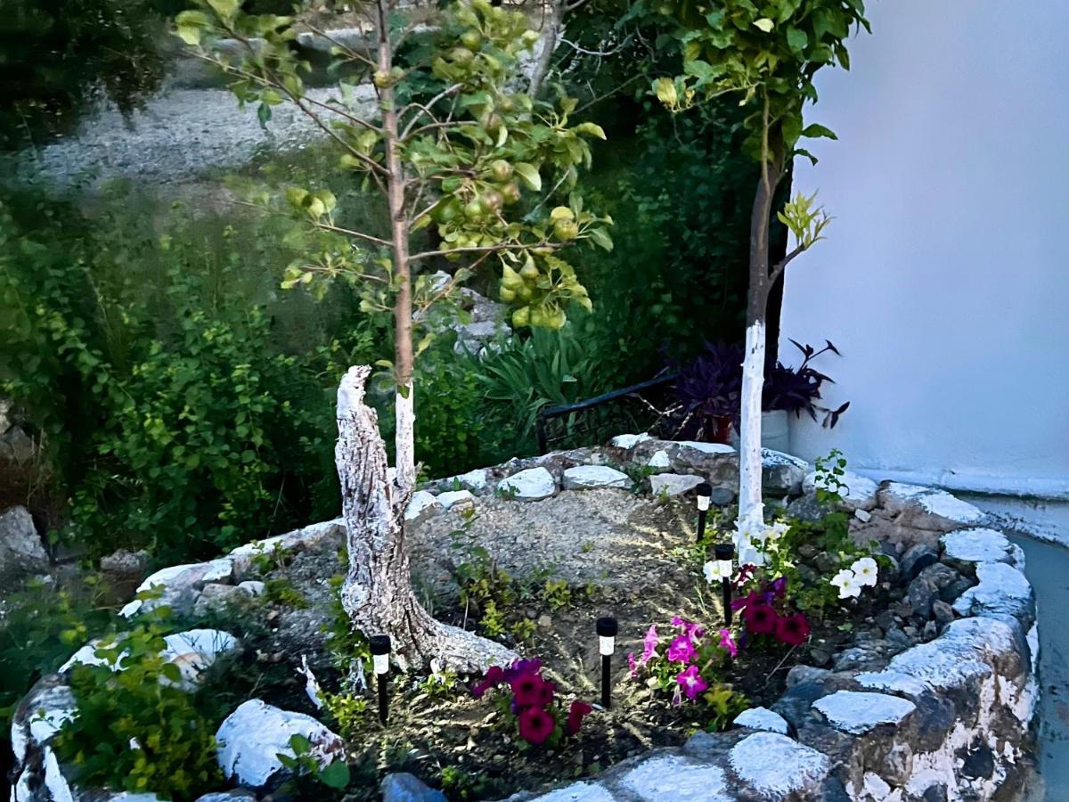 Villa Greek House Tatiana Città di Kos Esterno foto